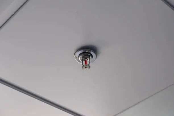 Imagem ilustrativa de Sistema de chuveiros automáticos sprinklers